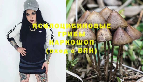 спайс Вязьма