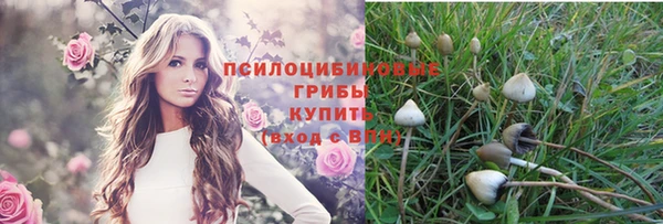 спайс Вязьма